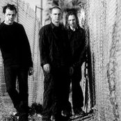 Professional Murder Music - List pictures