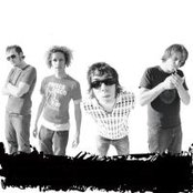 Sheer - List pictures