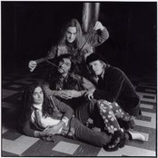 Jellyfish - List pictures