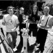 Bad Acid Trip - List pictures