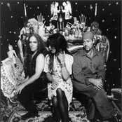 Concrete Blonde - List pictures
