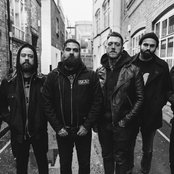 Krokodil - List pictures