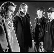 Blindside - List pictures