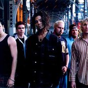 Hed Pe - List pictures