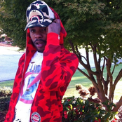 Pollari - List pictures