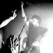 Year Of The Rabbit - List pictures