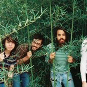 The Bright Light Social Hour - List pictures