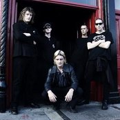 Blood Or Whiskey - List pictures