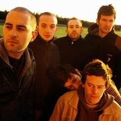 Negramaro - List pictures