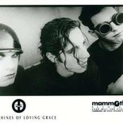Machines Of Loving Grace - List pictures
