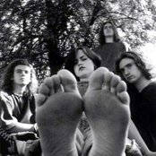 Cranberries - List pictures