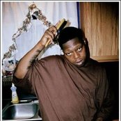 Z-ro - List pictures