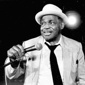 Willie Dixon - List pictures