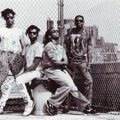 Living Colour - List pictures