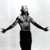 Ice T - List pictures