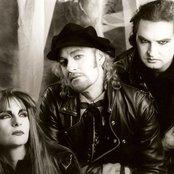 Big Electric Cat - List pictures