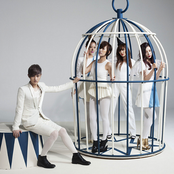 Sunny Hill - List pictures