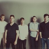 Wild Cub - List pictures