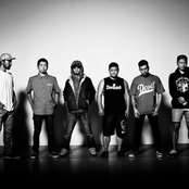 Fact - List pictures