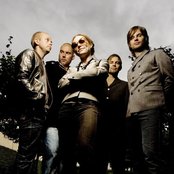 Cardigans - List pictures