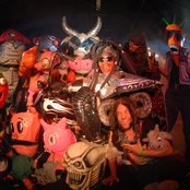 Green Jelly - List pictures