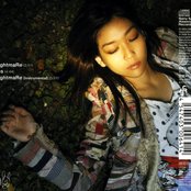 Snow - List pictures