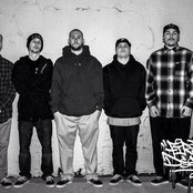 First Degree - List pictures