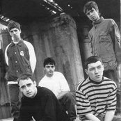 Oasis - List pictures