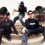 Primus - List pictures