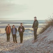 Hookworms - List pictures