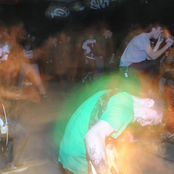 Together Pangea - List pictures