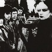 Alaska Y Los Pegamoides - List pictures