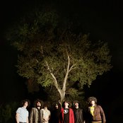 Together Pangea - List pictures