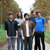 Foals - List pictures