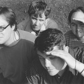 New Radiant Storm King - List pictures