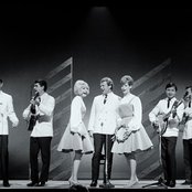 The New Christy Minstrels - List pictures