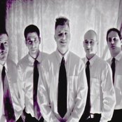 Dog Fashion Disco - List pictures