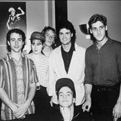 The Woodentops - List pictures