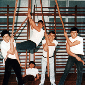 Dave Clark Five - List pictures