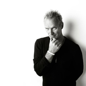 Sting - List pictures