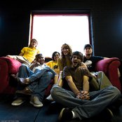 Annuals - List pictures