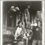 Seaweed - List pictures