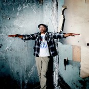 Postman - List pictures