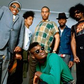 Fishbone - List pictures