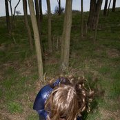 Barbara Morgenstern - List pictures