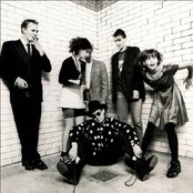 Sugarcubes - List pictures