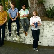 Woods - List pictures