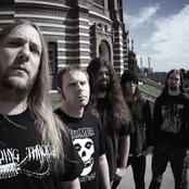 Dew-scented - List pictures