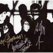 Rainbirds - List pictures