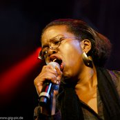 Club Des Belugas - List pictures